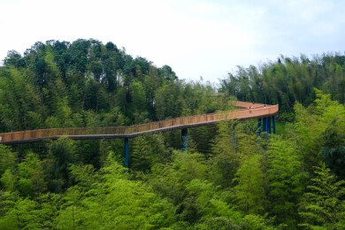 中国四川省宜宾市蜀南竹海竹尖漫步景区，