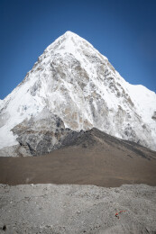 尼泊尔ebc徒步中的普莫里峰与山脚下的牦