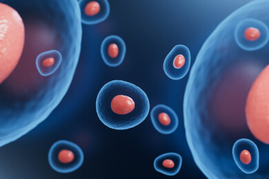 3D渲染的细胞图片