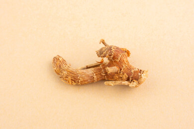 中餐卤菜中草药香料良姜