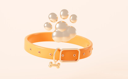 卡通宠物爪印和宠物项圈3D渲染