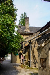 中国山东大学趵突泉校区近现代建筑风光