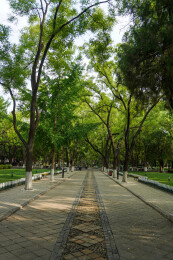 中国山东大学趵突泉校区近现代建筑风光