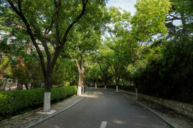 中国山东大学趵突泉校区近现代建筑风光