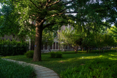 中国山东大学趵突泉校区近现代建筑风光