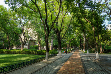 中国山东大学趵突泉校区近现代建筑风光