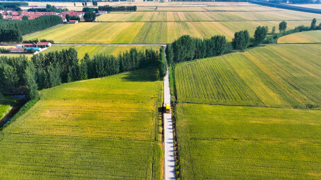 乡村，校车，乡路