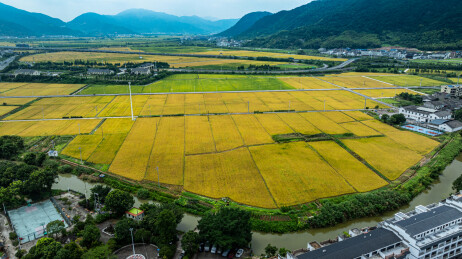瑞安马屿