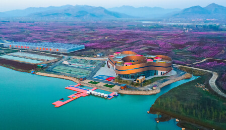 临沂市蒙阴县云蒙湖云蒙湖石龙湾湿地