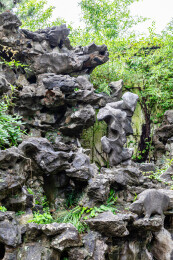 中国江苏苏州园林留园夏季风光