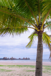 海南岛椰树林海景