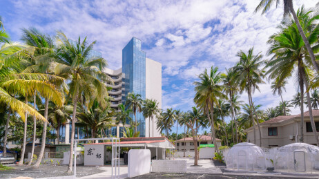 海南岛椰树林海景