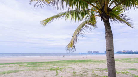 海南岛椰树林海景
