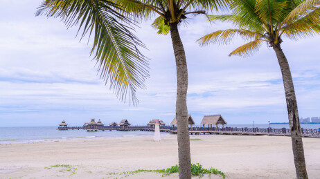 海南岛椰树林海景