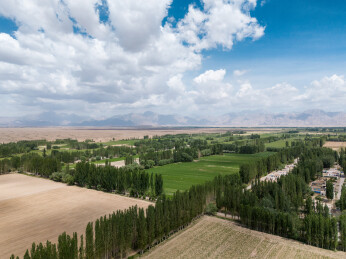 南疆绿洲上的农田与村庄