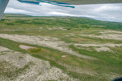 阿拉斯加的旷野 