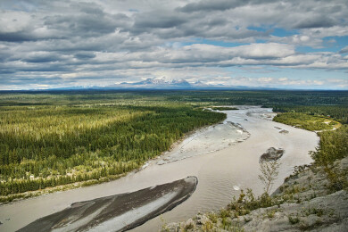 阿拉斯加的旷野 