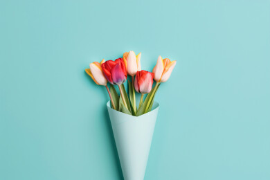 郁金香花束妇女节感恩节母亲节概念插图