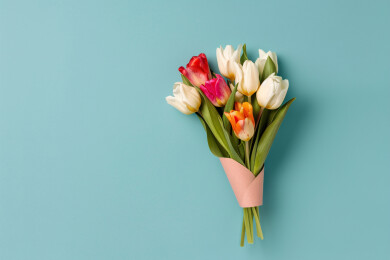 郁金香花束妇女节感恩节母亲节概念插图