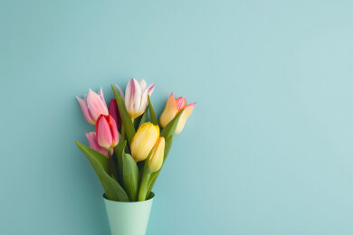 郁金香花束妇女节感恩节母亲节概念插图