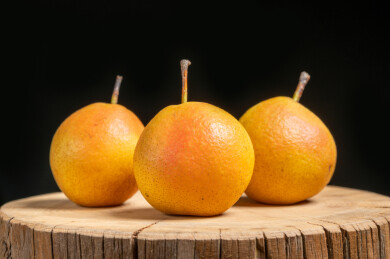 成熟美味的南果梨