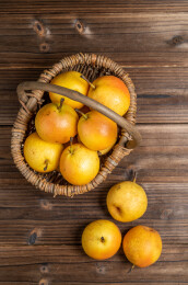 成熟美味的南果梨