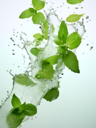 水中飞舞的薄荷