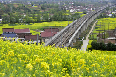 陕西省汉中市新集镇春天油菜花海铁路铁轨
