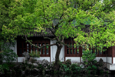 杭州西湖郭庄景色