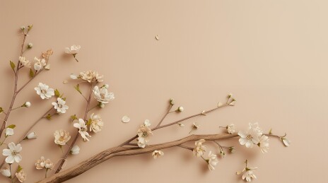 高级感写实植物展台背景