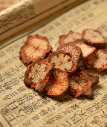 野生血赛通大血藤五花血藤红藤