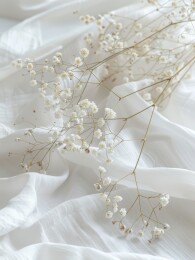 白色摄影棚的背景