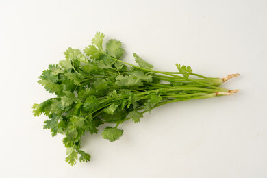  香菜芫荽  