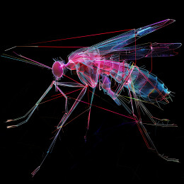 赛博朋克风蚊子插画