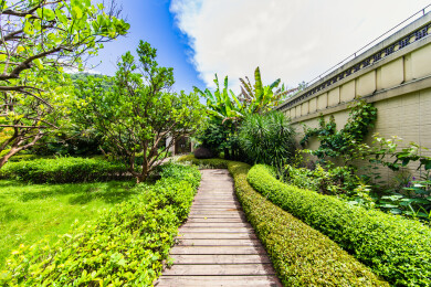 桂林城市楼盘的绿化