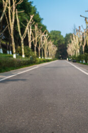 重庆园博园里的一条空旷的公路