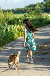 亚洲小女孩带着小狗在户外的背影