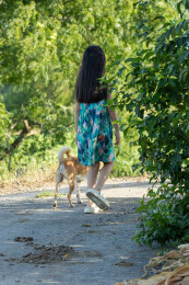 亚洲小女孩带着小狗在户外的背影