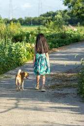 亚洲小女孩带着小狗在户外的背影