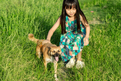 亚洲小女孩带着小狗在户外