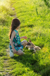 亚洲小女孩带着小狗在户外
