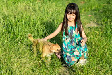 亚洲小女孩带着小狗在户外