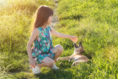 亚洲小女孩带着小狗在户外
