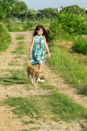 亚洲小女孩带着小狗在户外