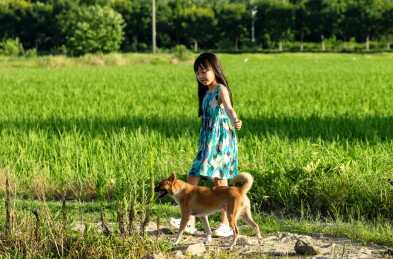 亚洲小女孩带着小狗在户外