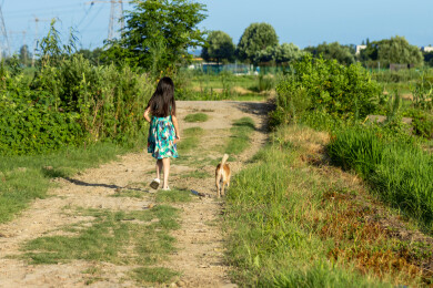 亚洲小女孩带着小狗在户外的背影