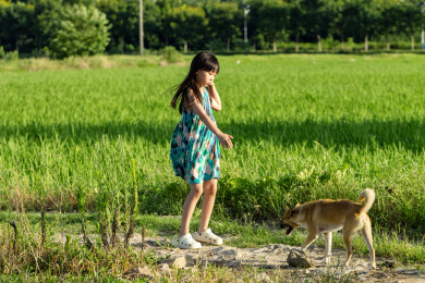 亚洲小女孩带着小狗在户外