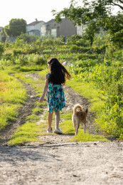 亚洲小女孩带着小狗在户外的背影