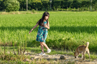 亚洲小女孩带着小狗在户外