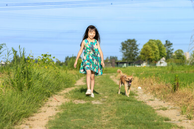 亚洲小女孩带着小狗走在田间